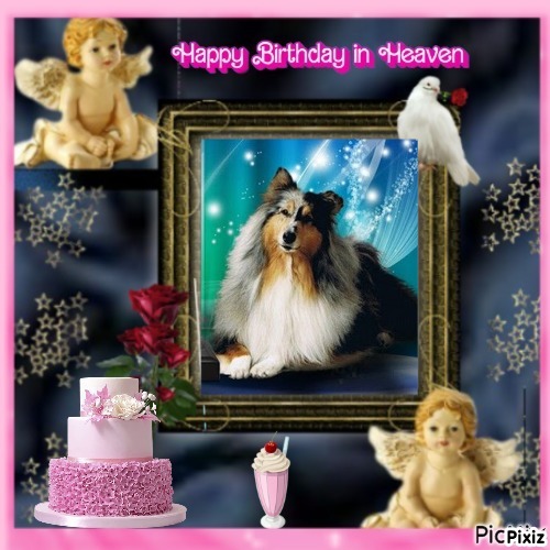 Floris of the Ada family