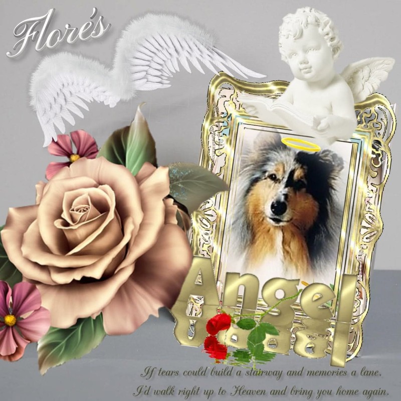 Flores of the Ada family