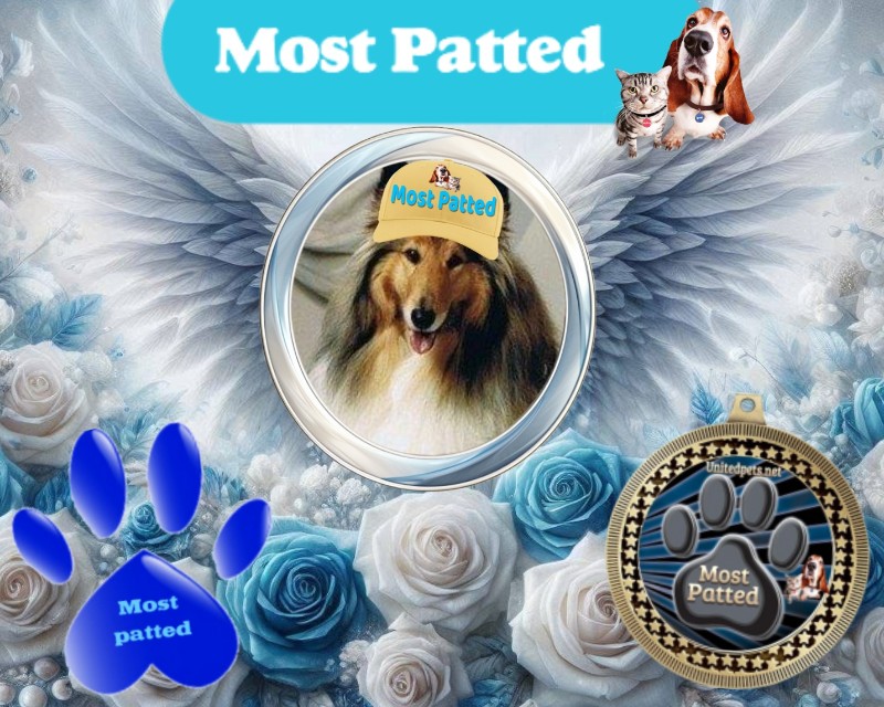 Floris of the Ada family