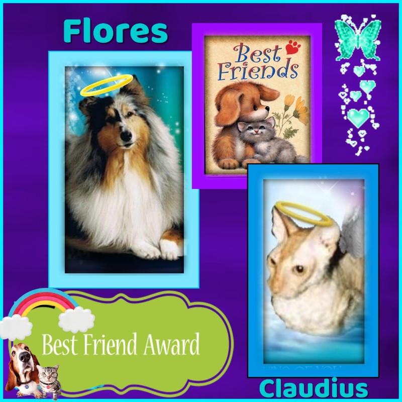 Flores of the Ada family