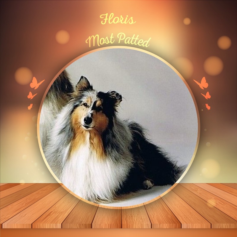 Floris of the Ada family