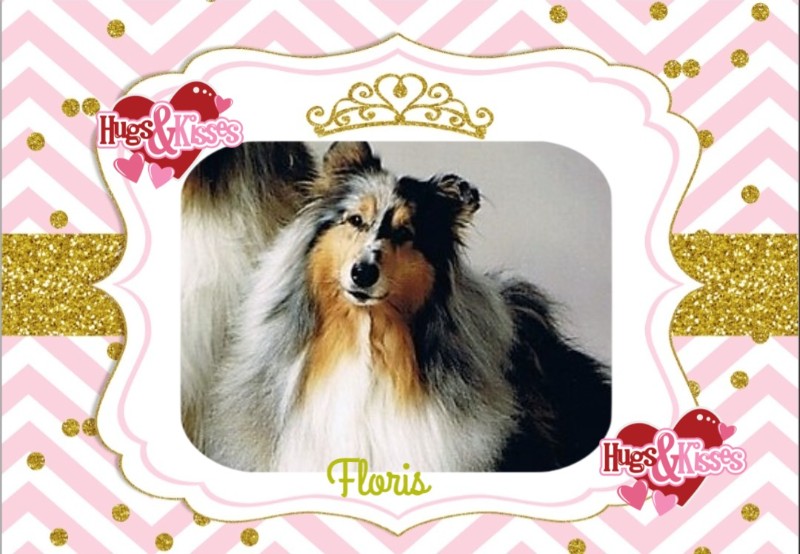 Floris of the Ada family