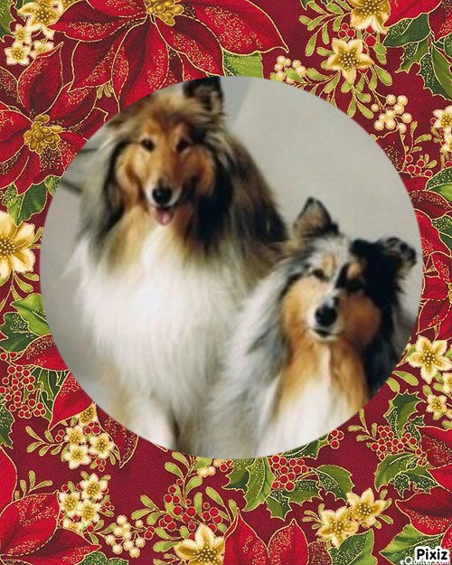 Floris of the Ada family