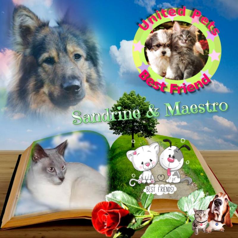 Sandrine of the Ada family