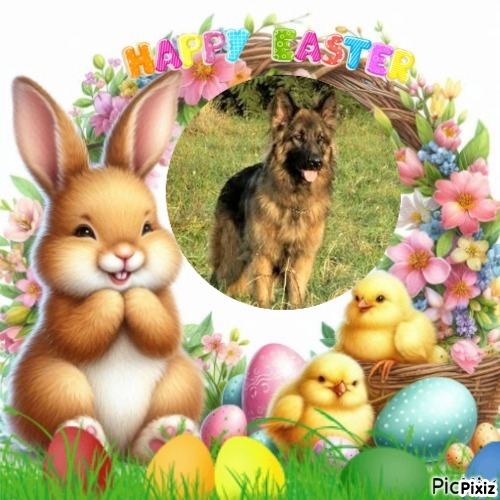 Sandrine of the Ada family