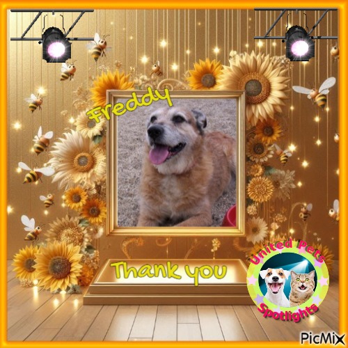 Sandrine of the Ada family