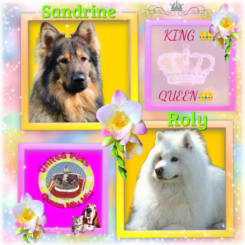 Sandrine of the Ada family