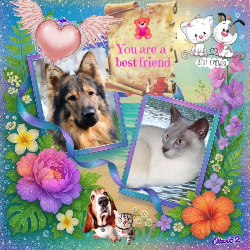 Sandrine of the Ada family