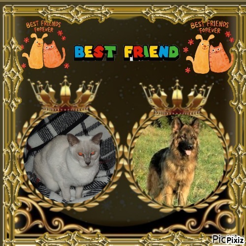 Sandrine of the Ada family