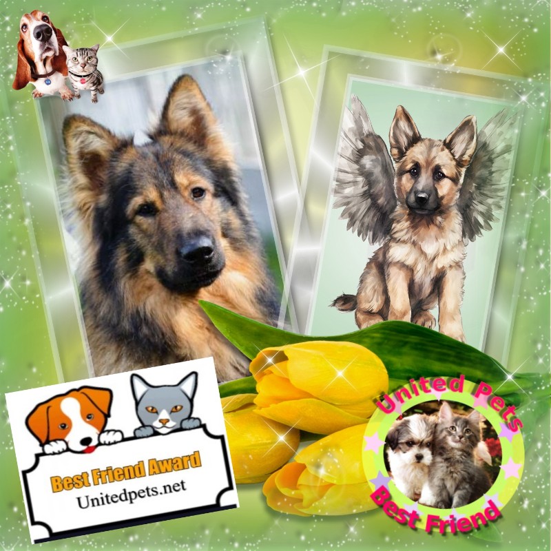 Sandrine of the Ada family