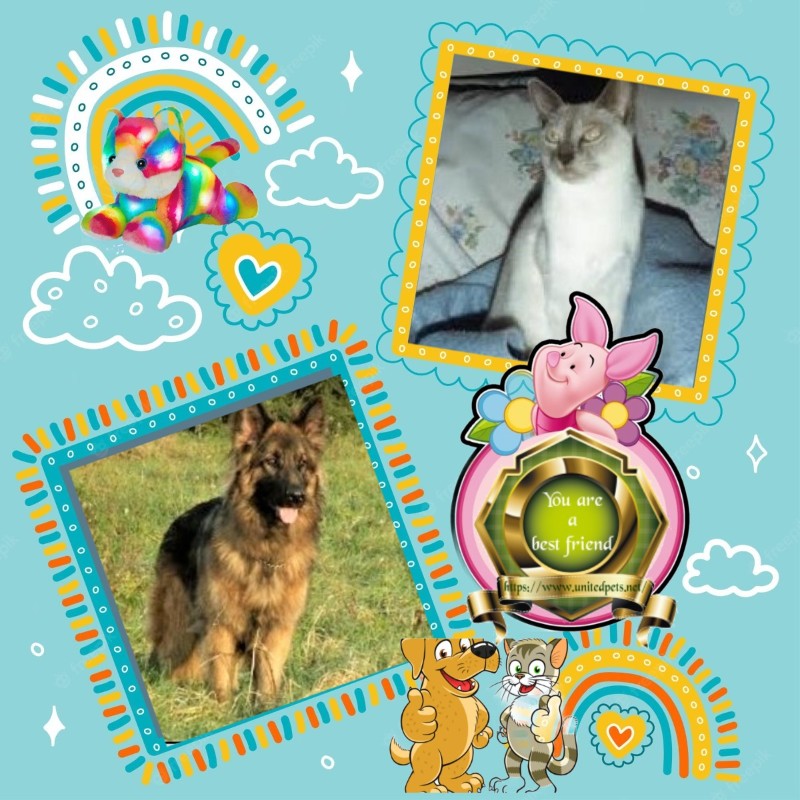 Sandrine of the Ada family