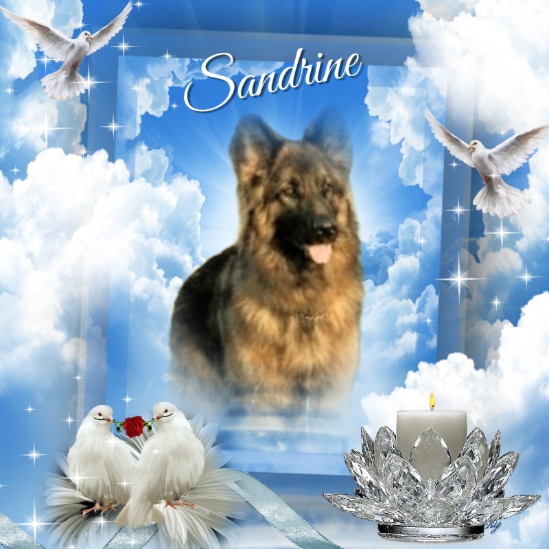 Sandrine of the Ada family