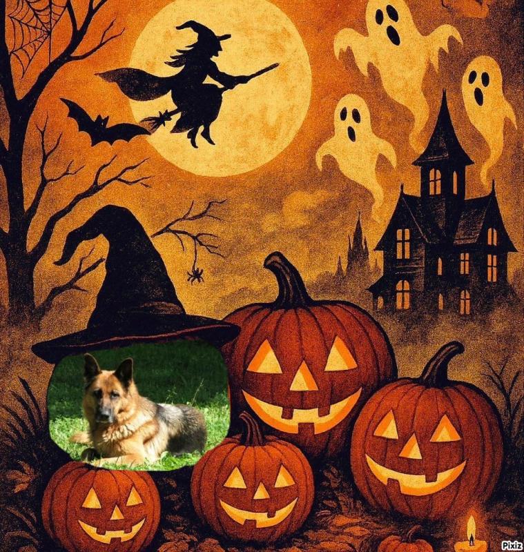 Rosa-munda of the Ada family