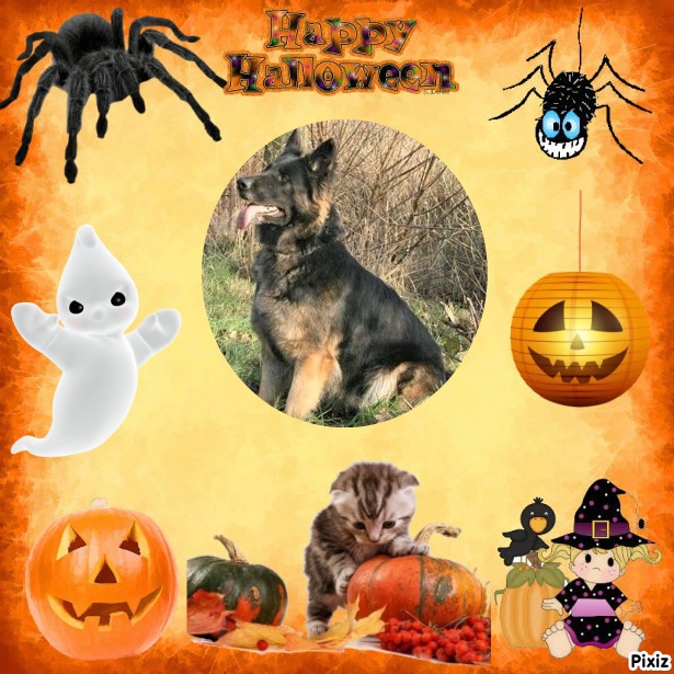 Kyra De Hulphond of the Ada family