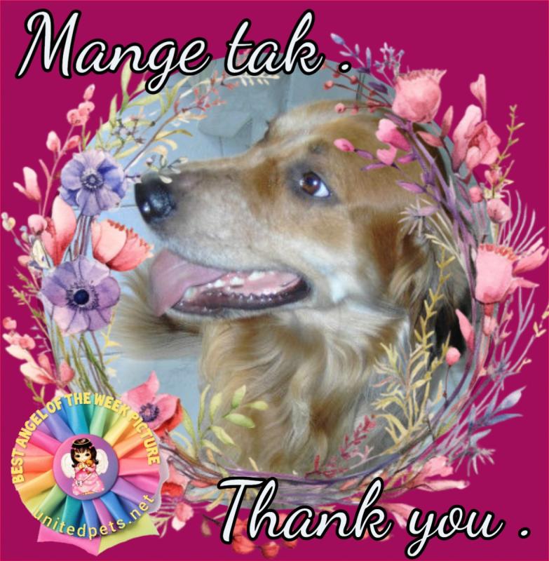 Kyra De Hulphond of the Ada family