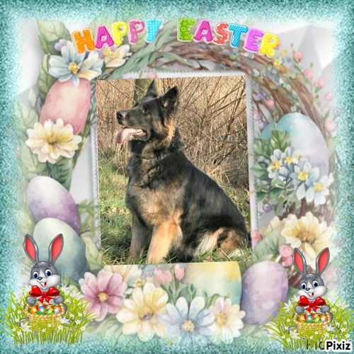 Kyra De Hulphond of the Ada family