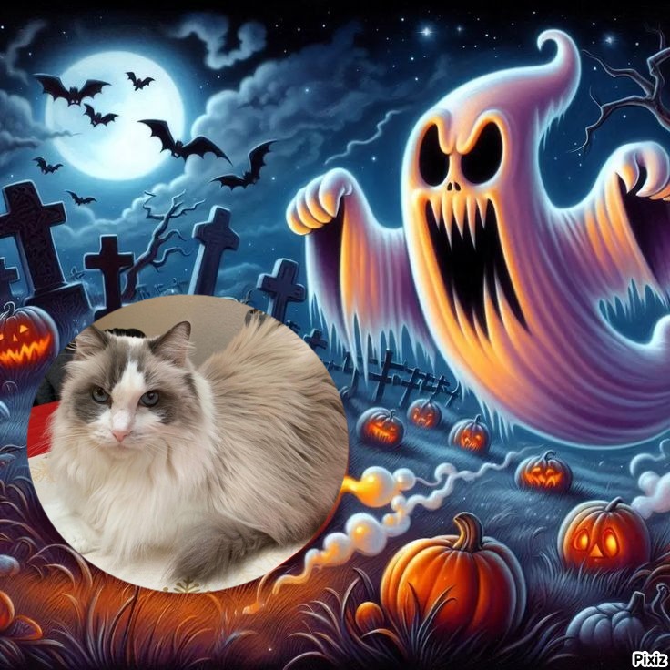 Solange of the Ada family