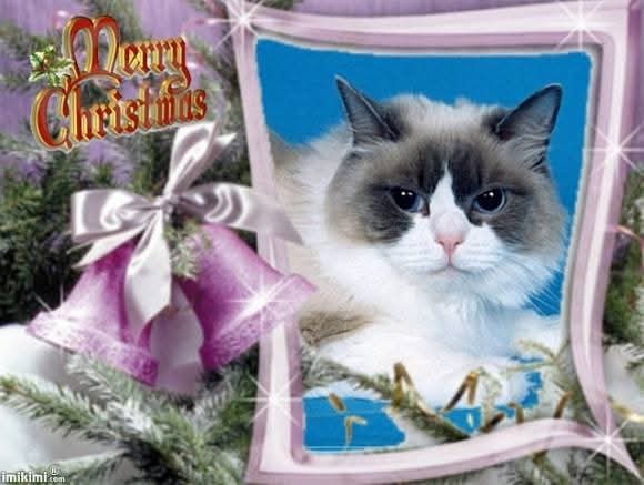 Solange of the Ada family