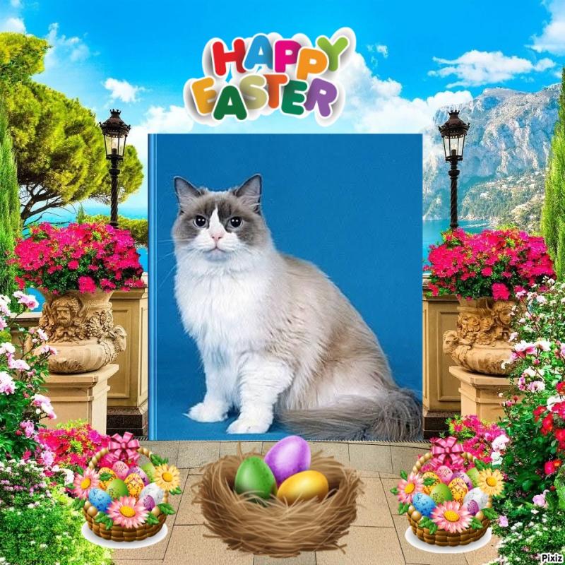 Solange of the Ada family