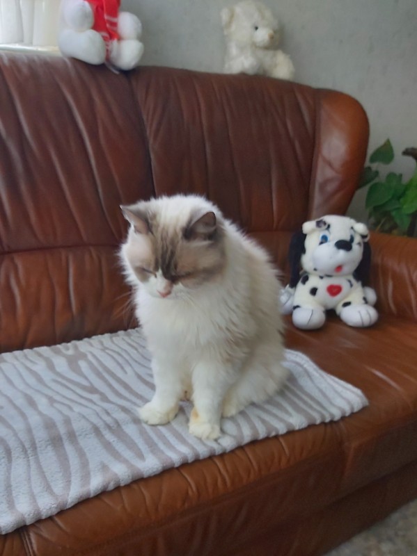 Ada uploaded   5 year/s ago