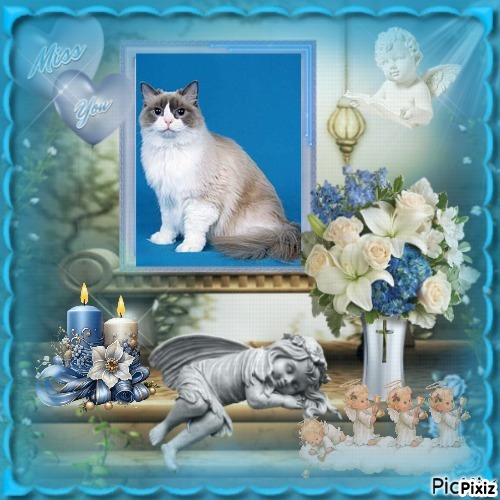 Solange of the Ada family