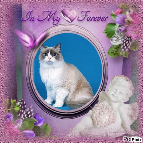 Solange of the Ada family