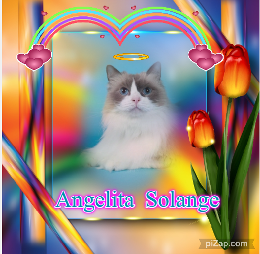 Solange of the Ada family