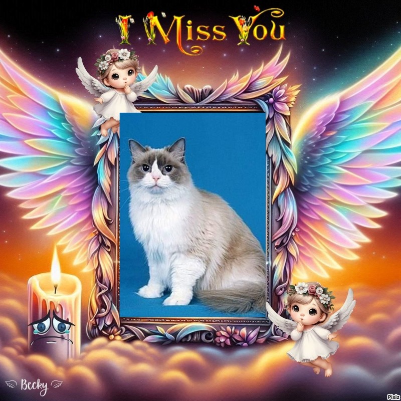 Solange of the Ada family