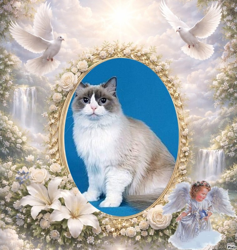 Solange of the Ada family