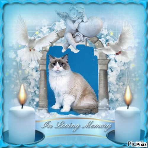 Solange of the Ada family