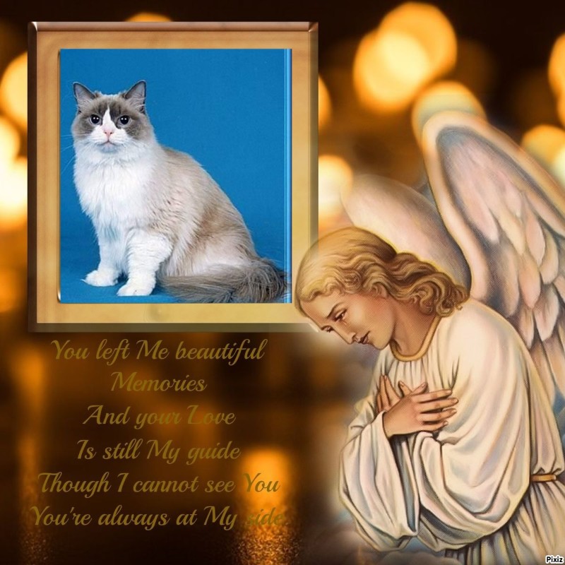 Solange of the Ada family