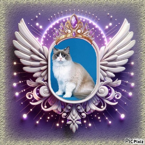 Solange of the Ada family