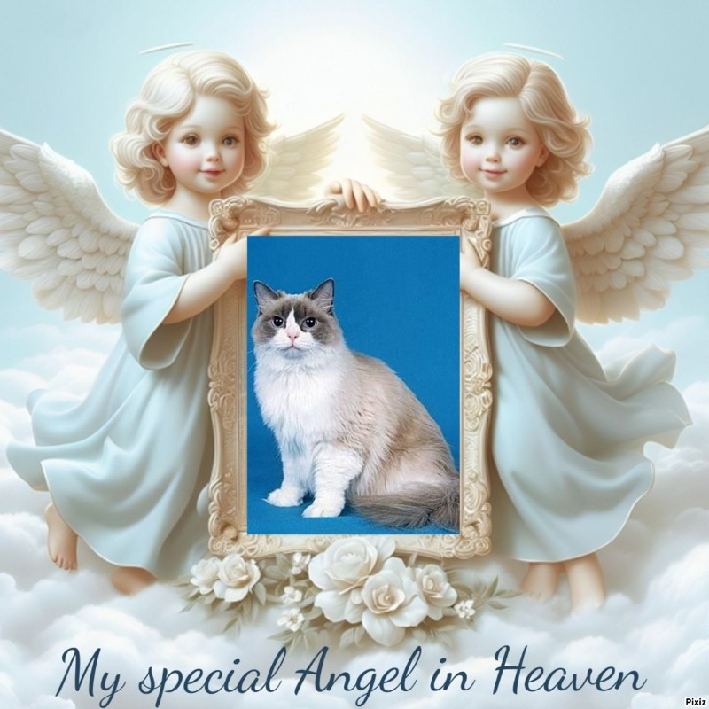 Solange of the Ada family