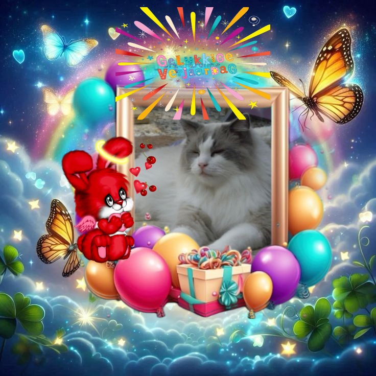 Solange of the Ada family