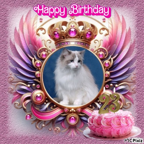 Ada uploaded   57  day/s  ago