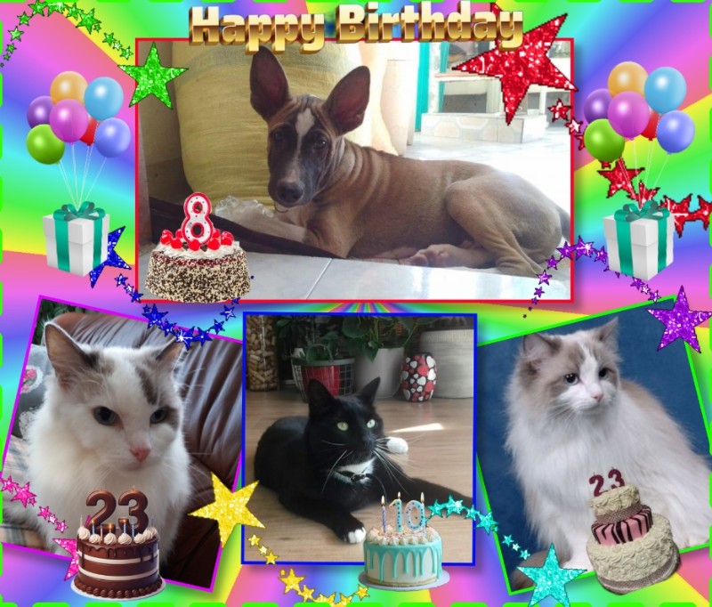 Ada uploaded   59  day/s  ago