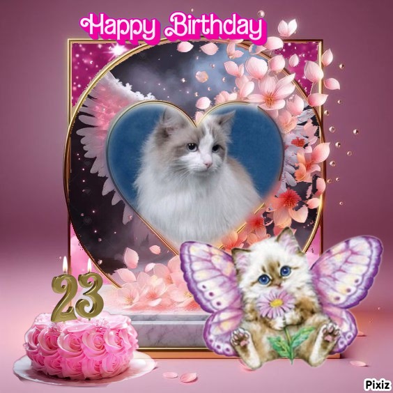 Ada uploaded   59  day/s  ago