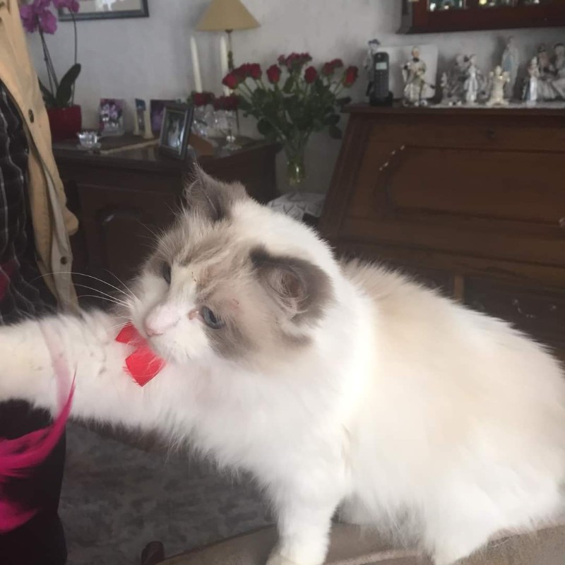 Ada uploaded   2 year/s ago