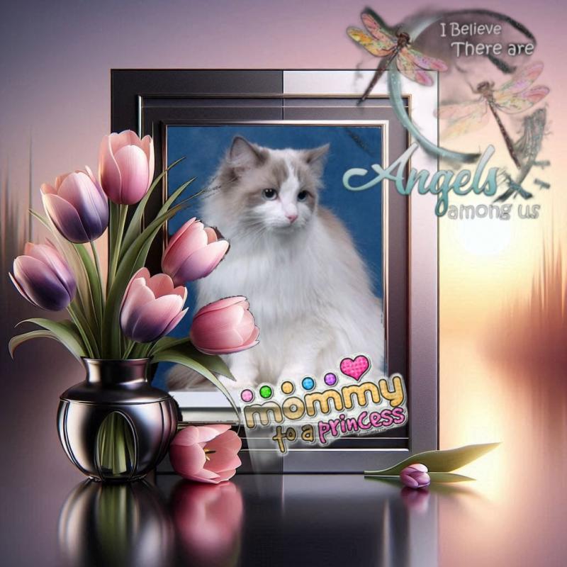 Queen Of Eden of the Ada family