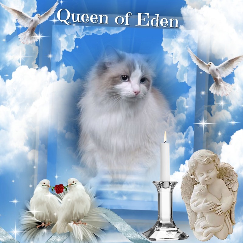 Ada uploaded   43  day/s  ago