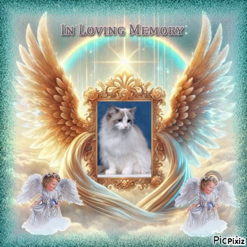 Queen Of Eden of the Ada family