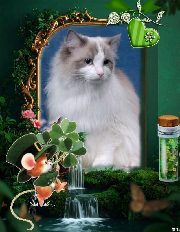 Queen Of Eden of the Ada family