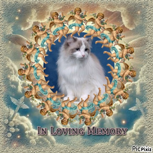 Ada uploaded   43  day/s  ago