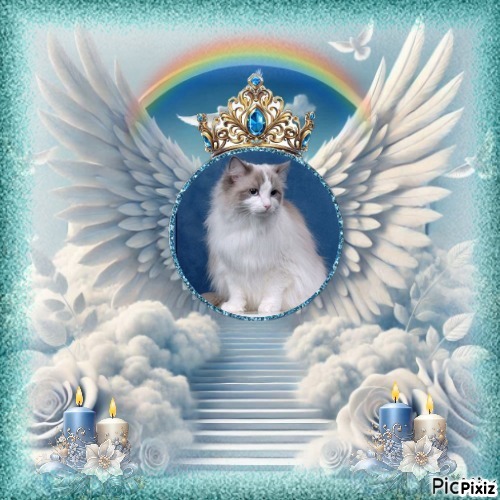 Ada uploaded   43  day/s  ago