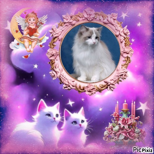 Queen Of Eden of the Ada family