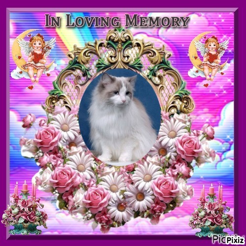 Queen Of Eden of the Ada family