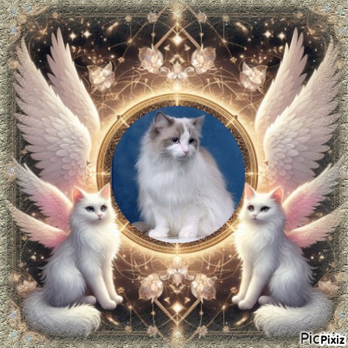 Queen Of Eden of the Ada family