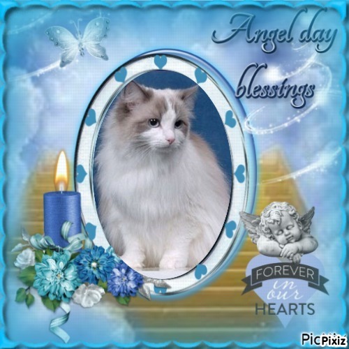 Ada uploaded   43  day/s  ago