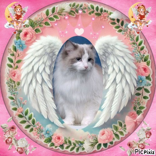 Queen Of Eden of the Ada family