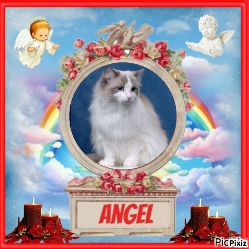 Queen Of Eden of the Ada family